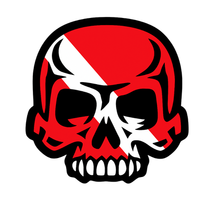 Skulls Tees Logo Wear