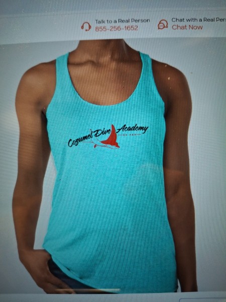 Customer supplied instructor-development shirt reference